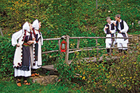 Dečiji kamp folklora, Trsić